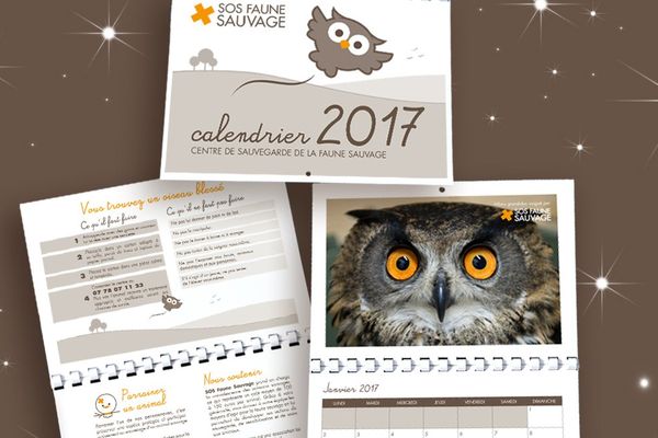 Illustrations du calendrier SOS Faune Sauvage pour l'année 2017