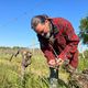 Séverin Noël dans ses vignes à Branceilles