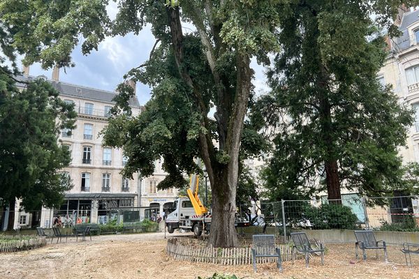 Le square Saint-Amour rouvre le 2 août 2024
