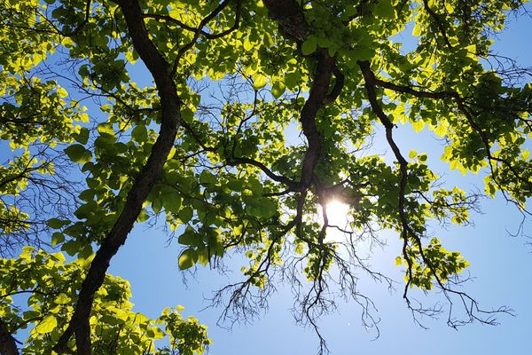 Il fait beau et chaud