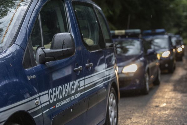 ; Un convoi de véhicules de gendarmerie quitte la zone de recherche dans le cadre de l'affaire Lina dans la foret communale d'Anould le 31 Juillet 2024.