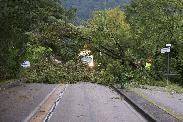 Des arbres s'étaient également retrouvés sur la chaussée dans la métropole Grenobloise après un coup de vent en septembre 2024.