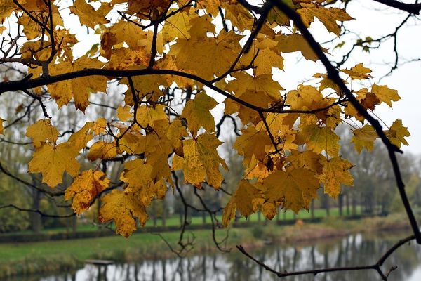 Ciel gris ce vendredi sur la région