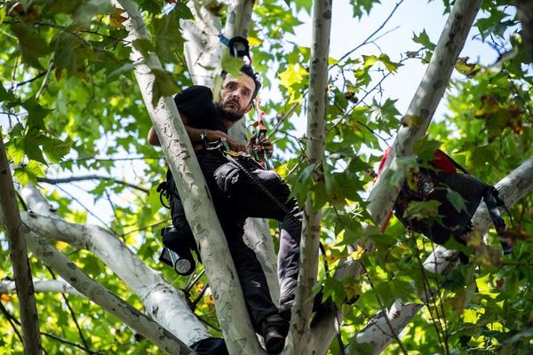 Bien arrimé dans un arbre placé en face du ministère de la Transition écologique, le militant écologiste gersois, Thomas Brail y vit depuis le 28 août.