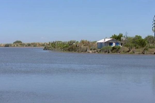 Pour que la nature reprenne ses droits, l'accès à Beauduc est réglementé.