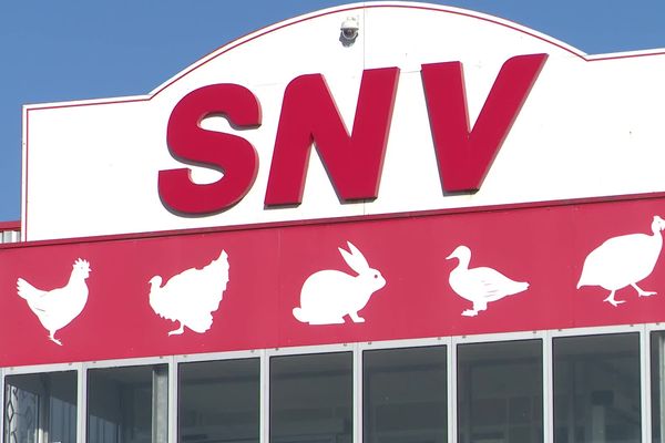 Un salarié est décédé sur un site de la société SNV, propriété du groupe agroalimentaire LDC, à Rives-d'Andaine, dans l'Orne.