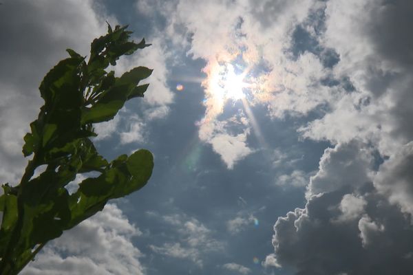 Les prévisions météo du jeudi 1er août dans les Hauts-de-France