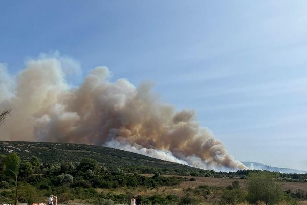 Un feu a déjà brûlé 20 hectares de forêt, à Gigean, le 18 août 2024.