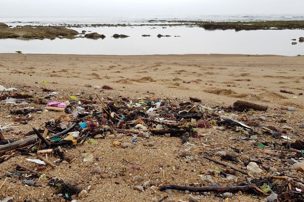 Les déchets laissés par la marée sur la plage de Bidart. 