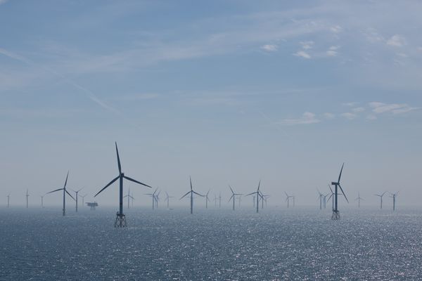 Un parc éolien offshore sur la mer du Nord, au large de l'archipel d'Helgoland, en Allemagne.