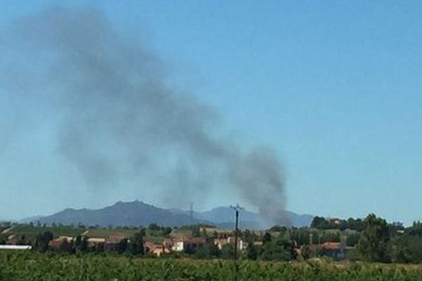 Incendie au Soler, dans les Pyrénées-Orientales - 22 août 2016.