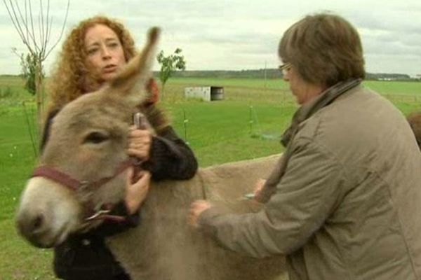 Catherine Leducq, vétérinaire en milieu rural.