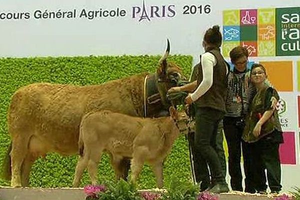 Paris - Dynamite, une vache Aubrac primée au salon de l'agriculture - 3 mars 2016.