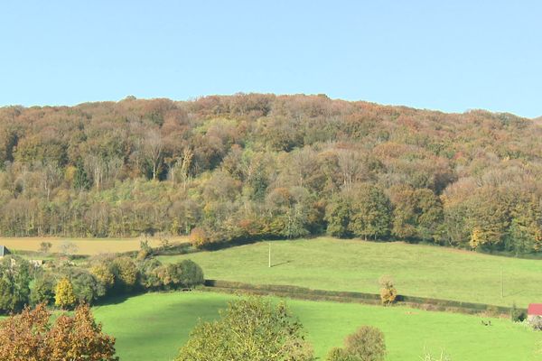 La forêt du Mont Touleur.