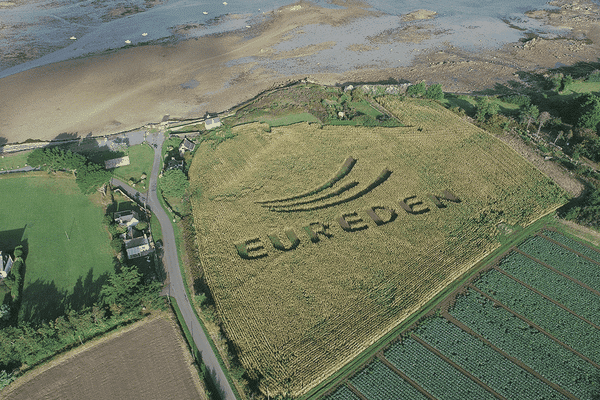 Un champs de maïs au logo d'Eureden, le groupe coopératif breton