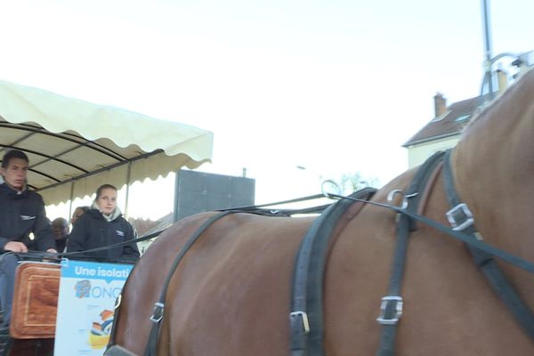 Ces salariés partent le temps d'une journée au travail en calèche tirée par des chevaux de trait comtois.