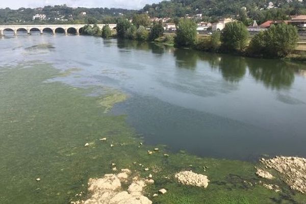 Face à la sécheresse de nouvelles restrictions d'eau ont été établies par la préfecture le 11 septembre dernier.