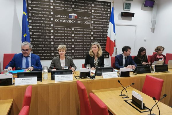 Marc Olliel (à gauche) et Corinne Puglierini (à côté de lui) lors de l'audition de la commission des lois.