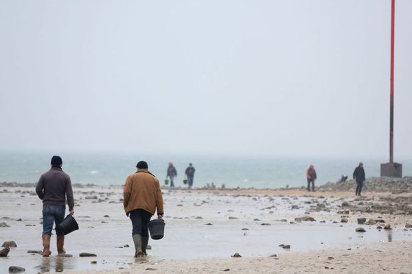 Les forts coefficients des marées sont propices à la pêche à pied.