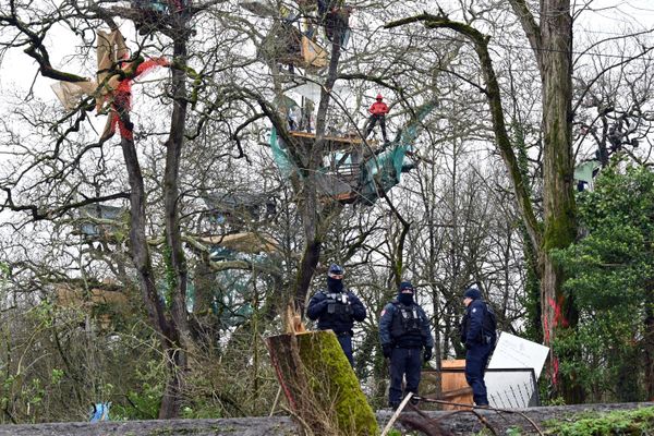 Le 27 février 2024, les gendarmes de la Cnamo manœuvrent pour faire descendre les militants écologistes opposés à l'autoroute A69 qui sont retranchés dans les arbres.