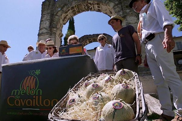 Manger bon et local: l'excellence des fruits provençaux comme le melon de Cavaillon bientôt IGP