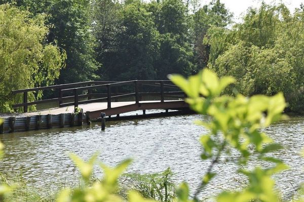 Un pont, au lac d'Ardres (Pas-de-Calais)