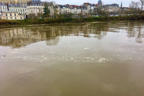 Une écume inhabituelle flotte sur les eaux de la Loire, un phénomène naturel assurent les scientifiques