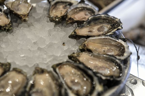 La pêche aux coquillages temporairement interdite dans le secteur de Grandcamp-Maisy (Calvados). 4 personnes ont été contaminées par des huîtres.