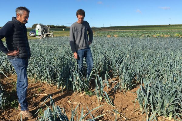 Ce maraîcher aubois a quantifié les vols de poireaux dans ses parcelles: 20 kilogrammes par semaine.