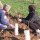 Le Plantathlon a rassemblé 200 volontaires au domaine de Baudrigue, près de Carcassonne, pour planter trois kilomètres de haies. Un projet inclusif mêlant plantation et conférences pour promouvoir l’agriculture régénérative et lutter contre le réchauffement climatique.