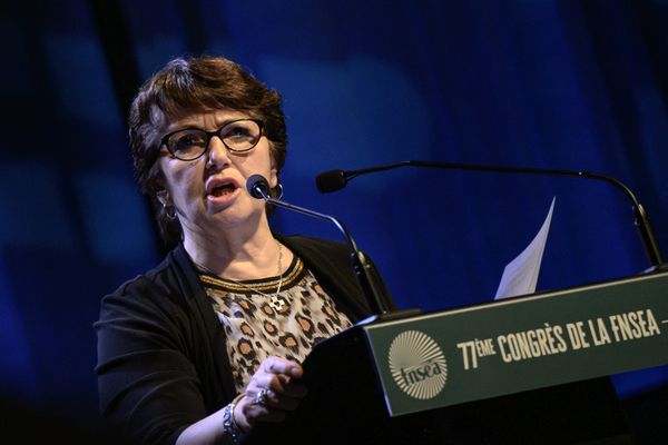 Christiane Lambert, présidente du Comité des organisations professionnelles agricoles de l'Union européenne et ancienne présidente de la FNSEA, le premier syndicat agricole français.