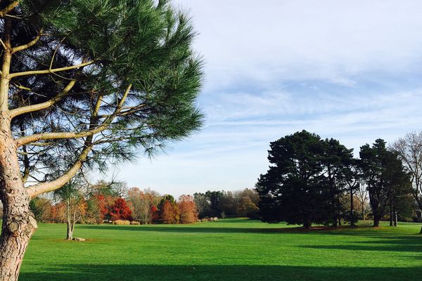 L'automne au parc du Grand Blottereau à Nantes