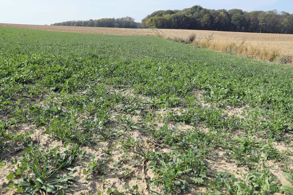 La situation ne s'arrange pas sur le front de la sécheresse en Haute-Saône 