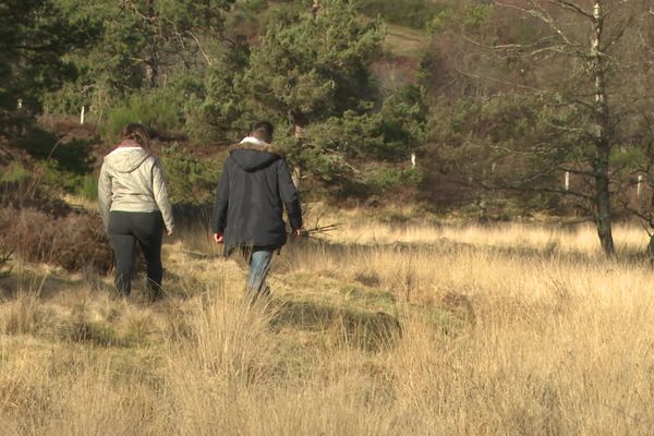 Comment rétablir l'équilibre naturel d'une tourbière lorsqu'il a été brisé par un drainage agricole ? Question sensible. Pourtant, le Conservatoire d'espaces naturels apporte une réponse plutôt convaincante sur le plateau de Millevaches.