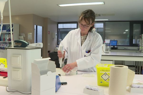 Dans le laboratoire vannetais, mandaté pour l'enquête sur le coronavirus dans le département