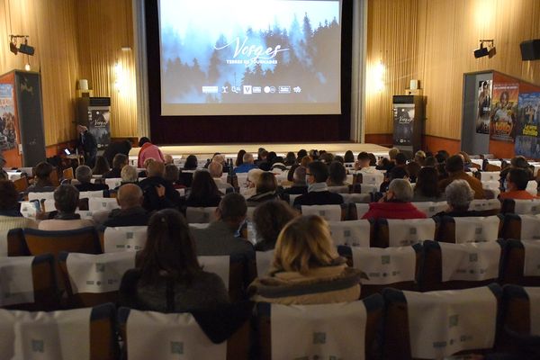 Association Plombières Cinéma vue d'ensemble