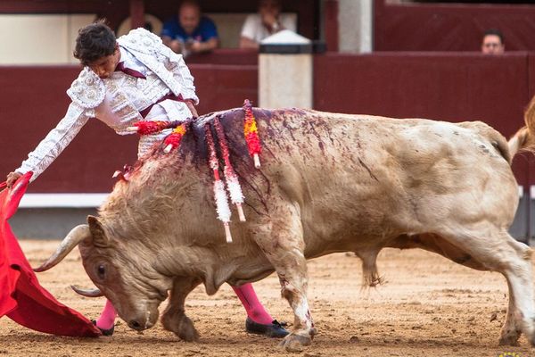 Madrid, 17 mai 2018. Luis David Adame ne se range pas parmi les toreros "artistes". Mais il a tiré le meilleur parti d'un bon toro de Juan Pedro, Ombú.