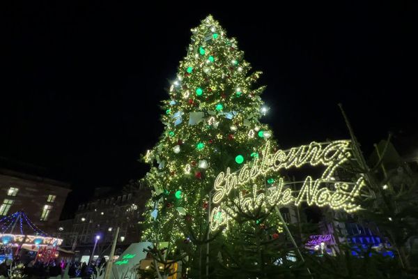 30 mètres de haut, le grand sapin de l'édition 2024 a revêtu ses habits de lumiere