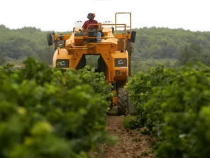 L'enjambeur, ce tracteur agricole utilisé pour le travail dans les vignes, s'est renversé avec son conducteur. Ce dernier est décédé.