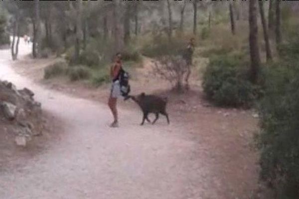 Images prises par un randonneur, dans les calanques de Marseilla