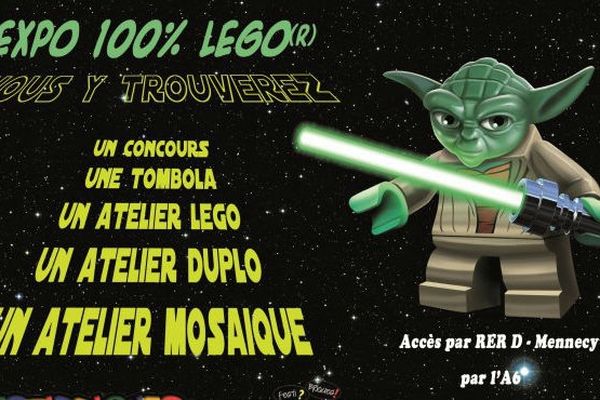 Plus de 5000 personnes sont venues admirer les oeuvres réalisées en Lego à Mennecy.