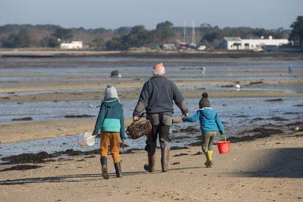 Les grandes marées font le bonheur des pêcheurs à pied, mais elles peuvent être dangereuses parfois.