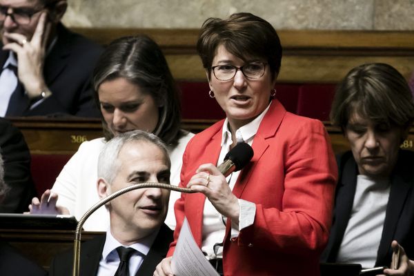 Michèle Crouzet à l'Assemblée nationale, le 30 janvier 2019.