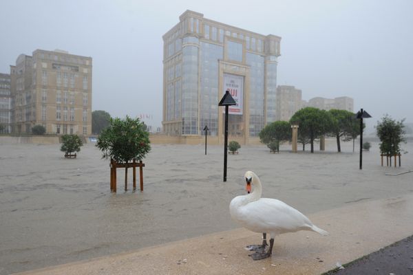 La montée des eaux est l'un des principaux enjeux climatique auquel doit faire face l'Hérault. Image d'archive 2014 - le Lez inondé.