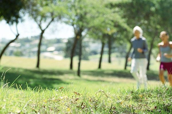 Jogger en pleine nature, c'est interdit dans toute l'Alsace jusqu'au 15 avril