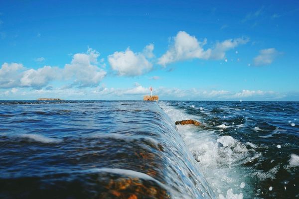 Pour cet article, le photographe cherbourgeois François Dourlen a gentiment accepté la publication de cette photo, issue de l'exposition "Unique par Nature" qui se tient à la Maison des Arts à La Glacerie- Cherbourg-en-Cotentin jusqu'au 25 janvier 2020