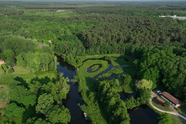 La vallée du Ciron, qui abrite une rivière éponyme, est située au sud de Bordeaux, en Gironde. Marquée par une biodiversité éclectique et profuse, elle est aujourd'hui menacée à bien des égards.