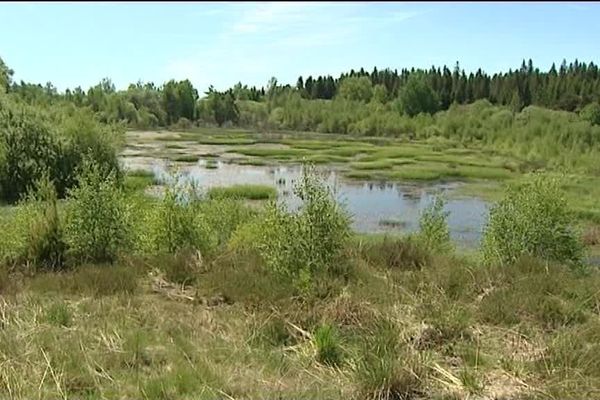 L'étude financée par natura 2000 conseille de réhabiliter la tourbière de Landeyrat de façon naturelle. 