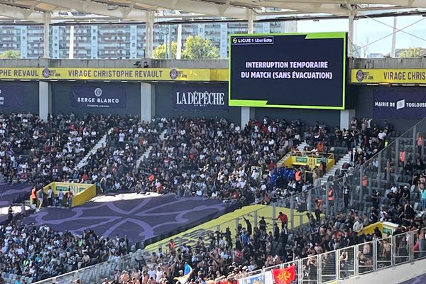 Ligue 1 : Matchs à risques, quelle sécurité après les incidents du match Toulouse/Montpellier ?