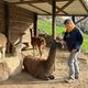 Laurence Marandola et ses lamas sur sa ferme d'Auzat en Ariège